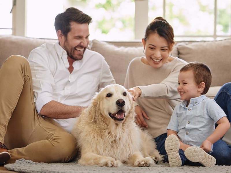 Familj med ett litet barn och hund på en soffa